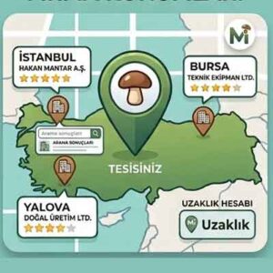 MantarSatış Firma Rehberi